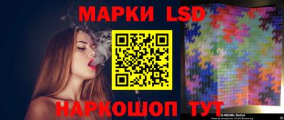 стафф Будённовск