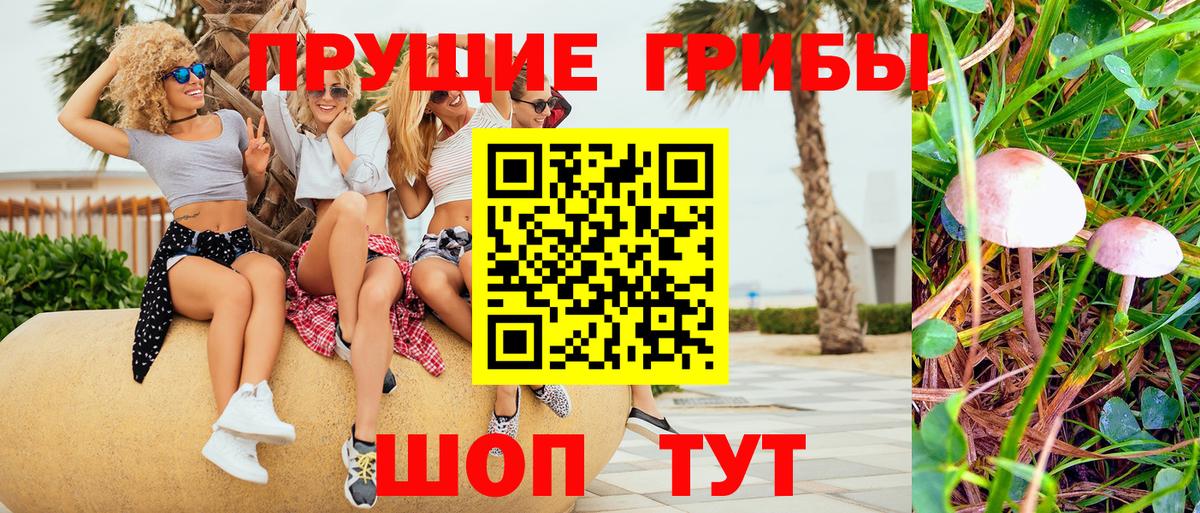 Псилоцибиновые грибы ЛСД Чусовой