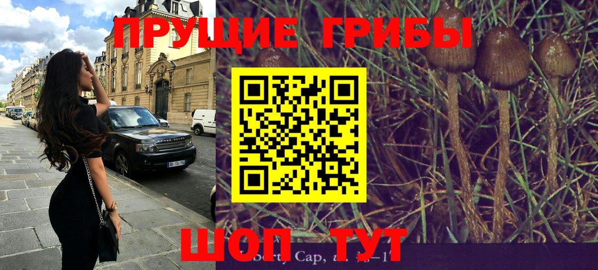 Псилоцибиновые грибы мухоморы  Вход с VPN  Чусовой  Псилоцибиновые грибы мухоморы 